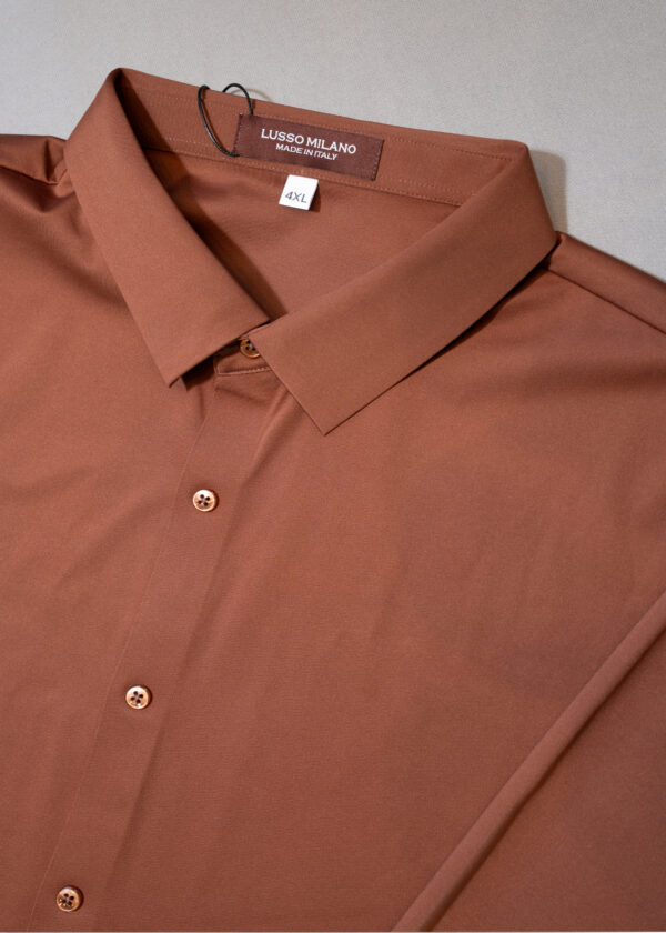Men's Rust Orange Solid Casual Shirt – Slim Fit, Long Sleeves